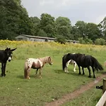 3 étoiles - Piscine - Ccbaeei 3*