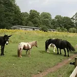 Zecamping 3 Etoiles Chiens Acceptes Animations Piscine Chauffee Kamp alanı