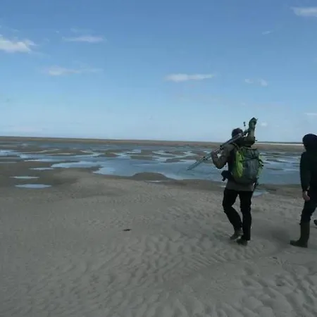 Zecamping 3 Etoiles Chiens Acceptes Animations Piscine Chauffee 3*