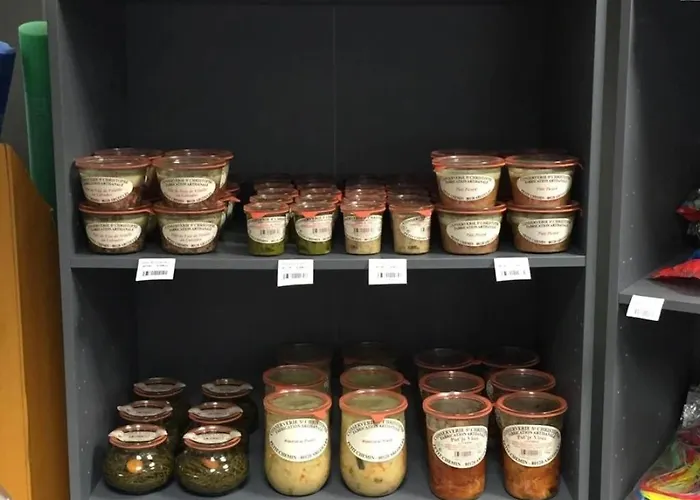 Campsite Zecamping 3 Etoiles Chiens Acceptes Animations Piscine Chauffee Grand-Laviers